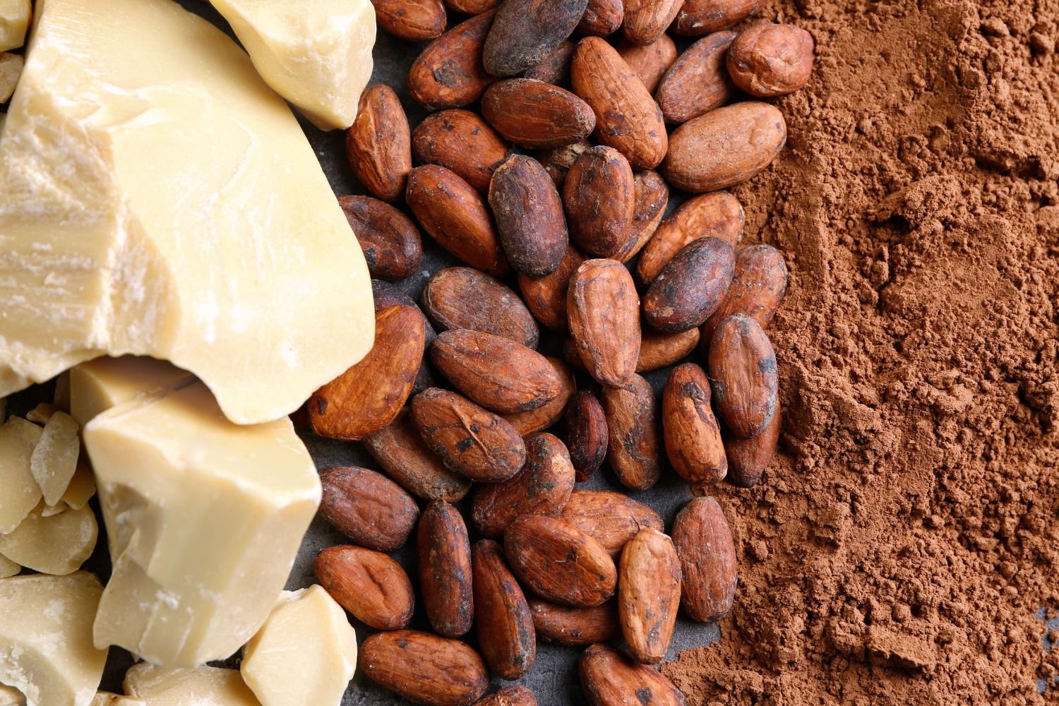 Les secrets du beurre de cacao pour une peau douce et éclatante - Silva Mundi