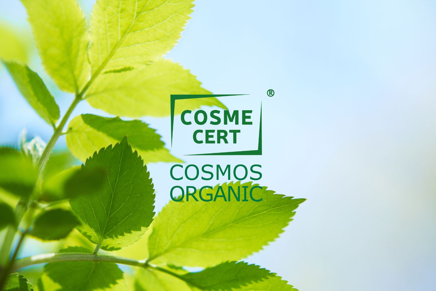 Certification Cosmos Organic