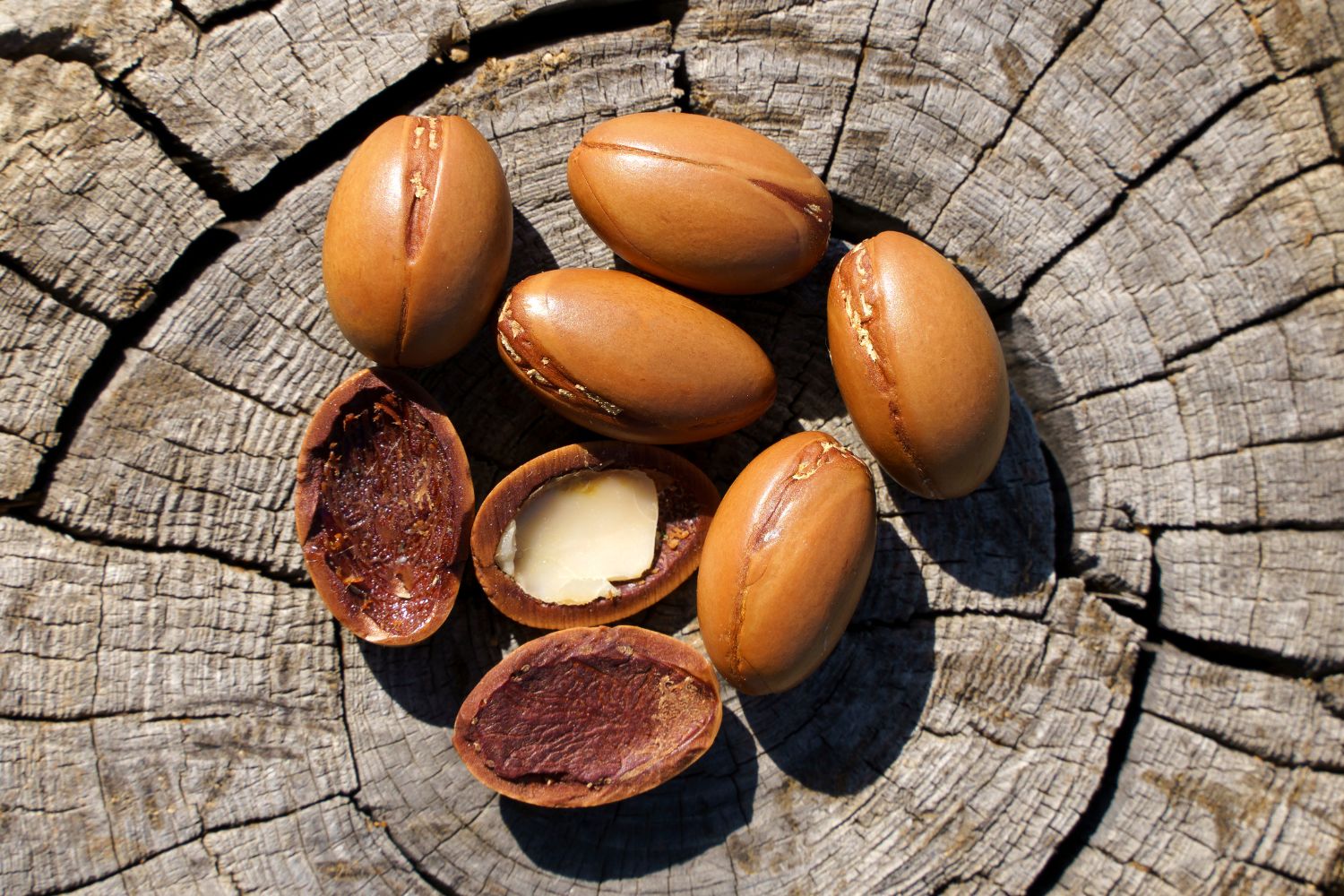 Huile d'argan, bienfaits pour les cheveux et la peau